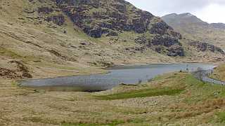 Argyll Forest Park