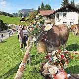Viehscheid