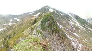 Rückweg