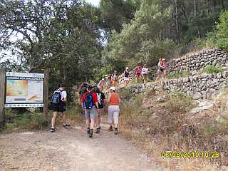 Camina de Mallorca