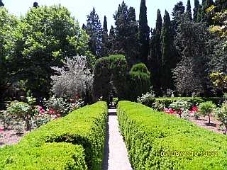 Garten in Valldemossa