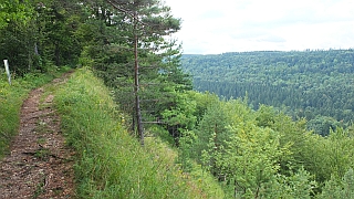 region04