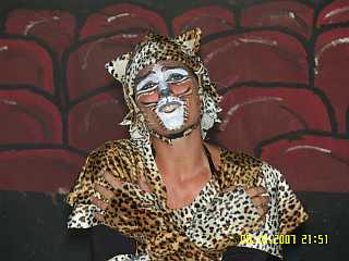 Cats