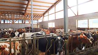 Foto 3